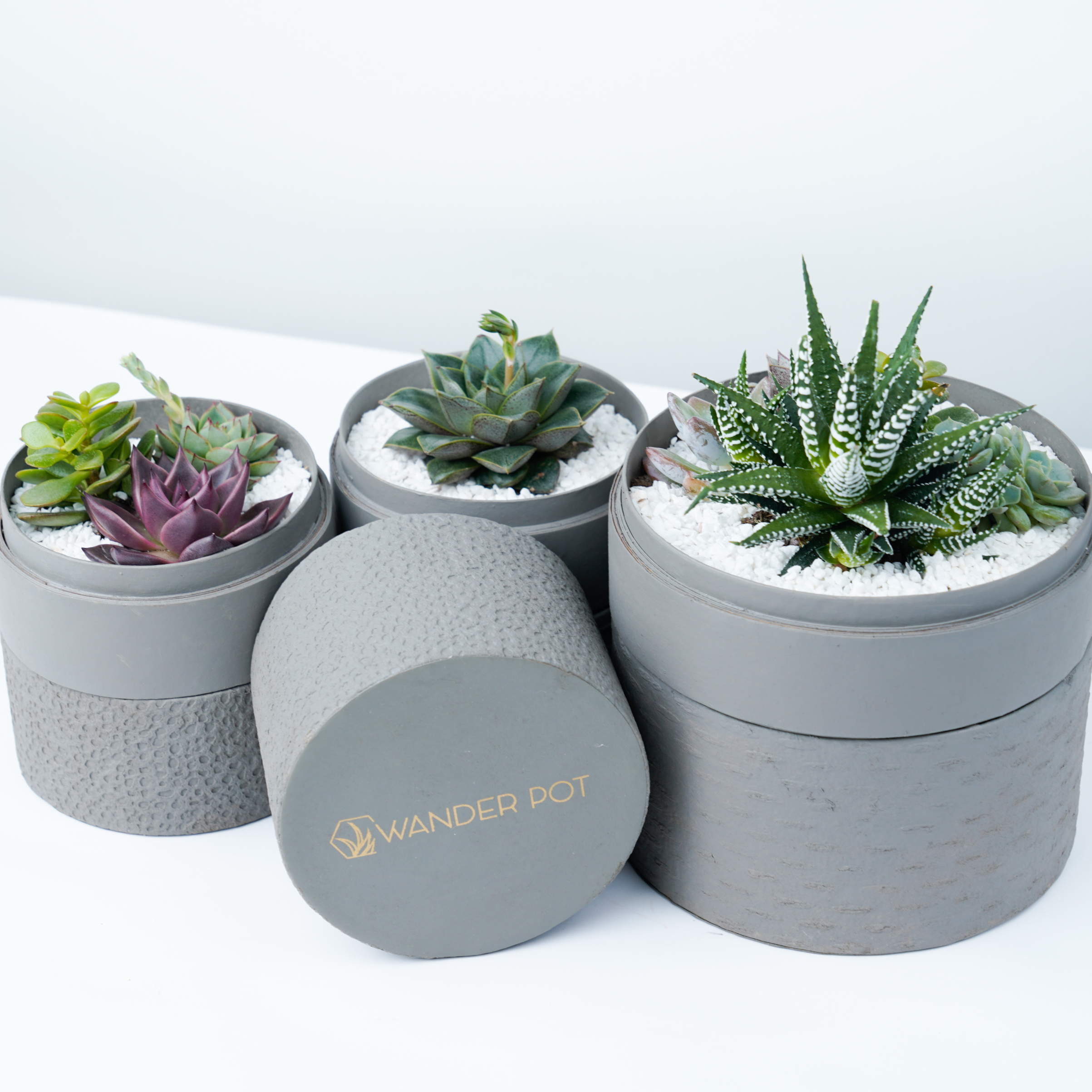 Custom Succulent Boxes Corporate Gifts WANDER POT UAE