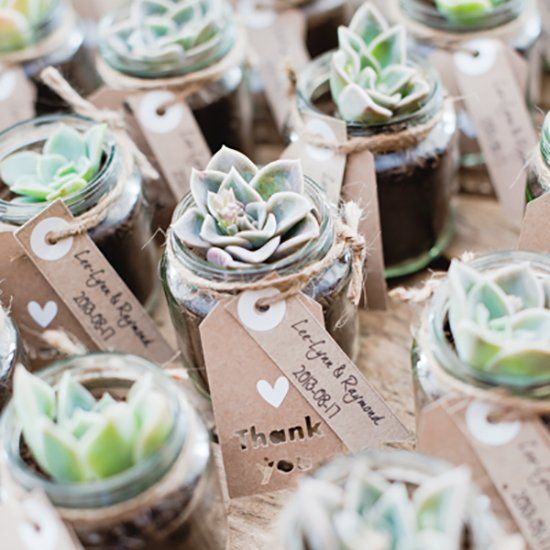 Unique and Sustainable Wedding Favours. Customise Card for mini succulent plant gifts. Personalised wedding favours.