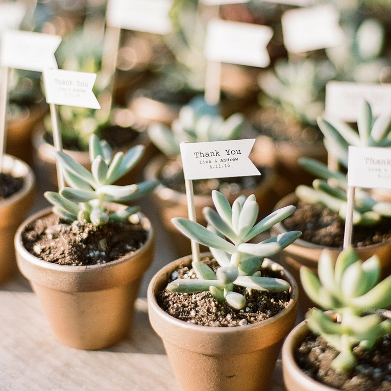 Unique and Sustainable Wedding Favours. Customise Flags for mini succulent plant gifts. Personalised wedding favours.