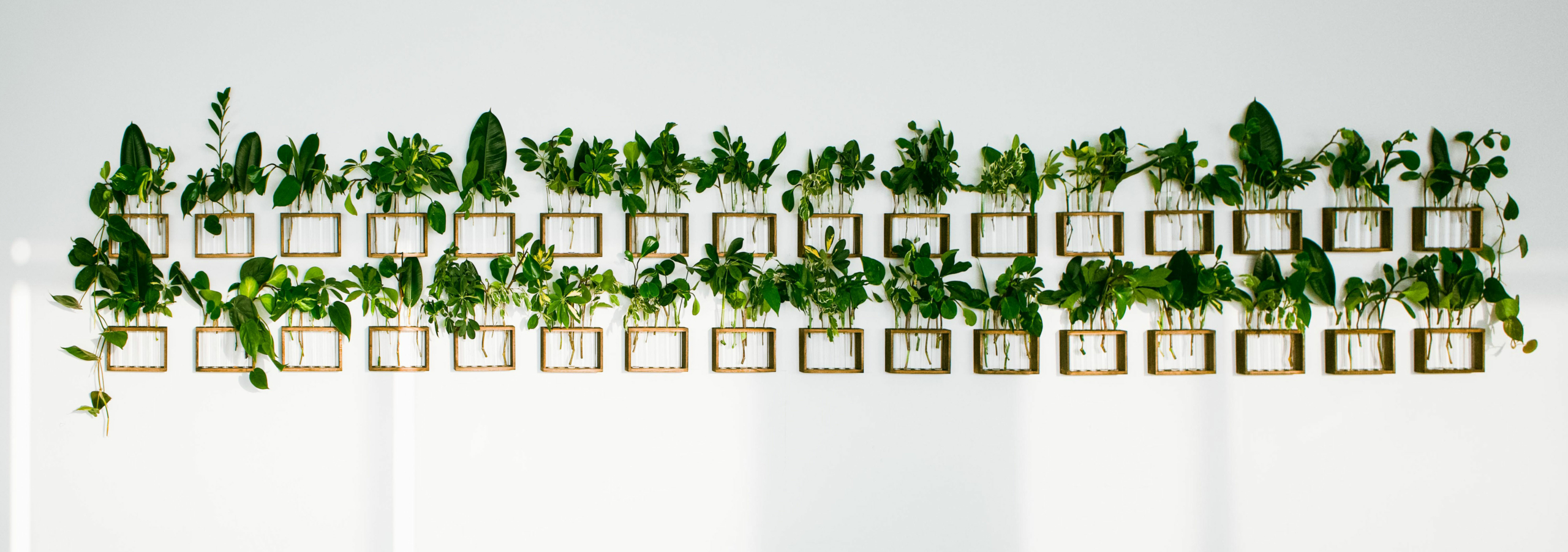 Plant Growing Wall by Wander Pot - Banner
