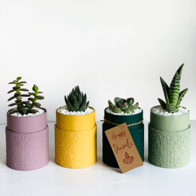 Diwali sustainable plant gifts - Diwali favours - Yellow planters with succulents Diwali 2020 - Diwali gift ideas-3