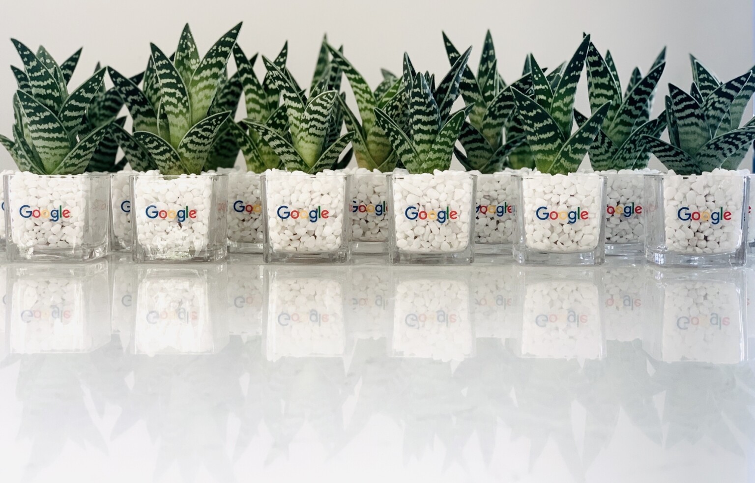 Corporate Business Gifts Sustainable Corporate Gifts WANDER POT