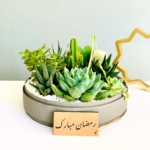 grey box with succulents ramadan