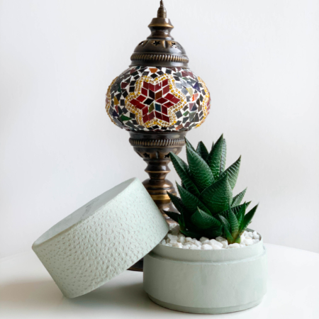 Mini Haworthia in a mint green handmade pot, mini aloe succulent with centrepiece in the background. Biodegradable and recycled pot. Long-lasting and gorgeous sustainable plant gift.