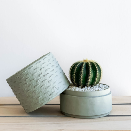 Landscape view of Mini Barrel Cactus in a mint green handmade pot, Thelocactus setispinus with lid. Biodegradable and recycled pot. Long-lasting and memorable sustainable plant gift.