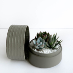 Mini Succulent mix in a grey handmade pot, mini cacti. Biodegradable and recycled pot. Long-lasting and sustainable plant gift.