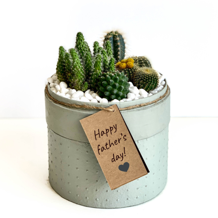 Portrait View of Midi Succulent mix in a mint green handmade pot, midi jungle cacti mix with personalised gift card. Biodegradable and recycled pot. Long-lasting and sustainable plant gift.