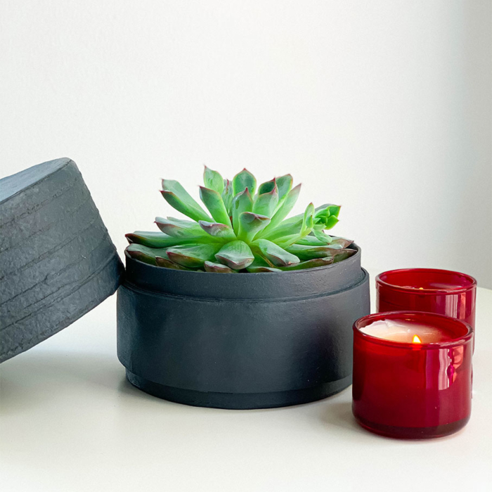 Landscape View of Mini Echeveria in a charcoal blue handmade pot, cute succulent with candles. Biodegradable and recycled pot. Long-lasting and memorable sustainable plant gift.