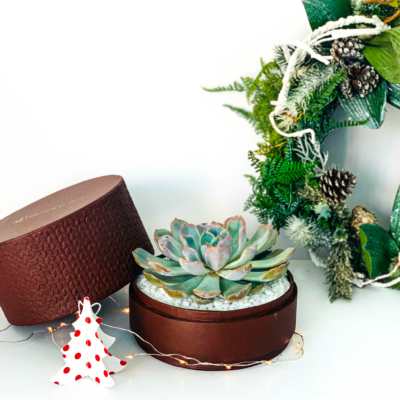 Sustainable corporate plant gifts - UAE National Day 2020 - Plant gift ideas - WANDER POT-15