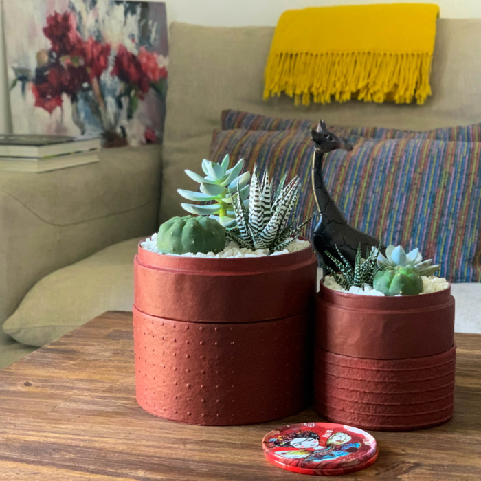 Succulent mix in two red handmade pots on centre table. Biodegradable and recycled pot. Long-lasting and sustainable plant gift.